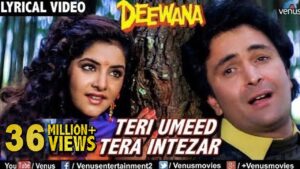 Teri Umeed Tera Intezar Lyrics in Hindi