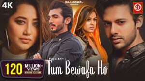 Tum Bewafa Ho Lyrics in Hindi